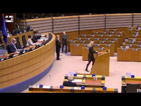 მოვუწოდებთ დარჩენილ ოპოზიციურ პარტიებსა იგივე სიმამაცე გამოავლინონ - ევროპარლამენტარები