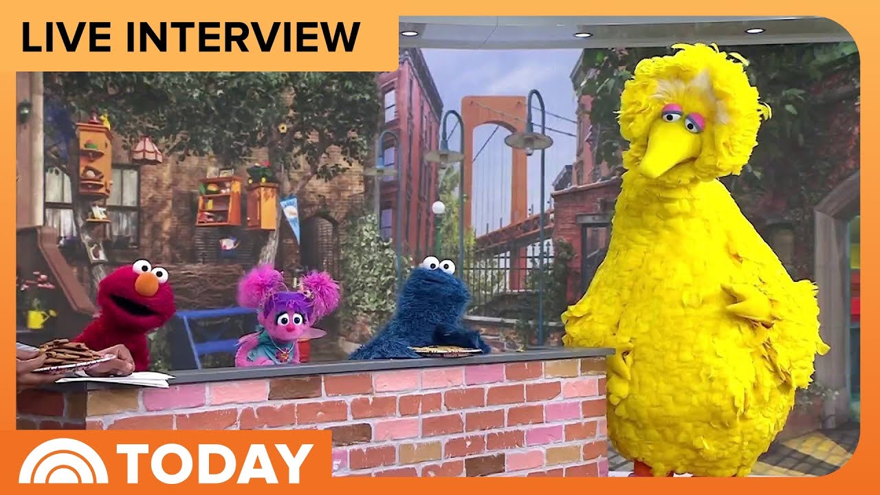 'Sesame Street' Stars Reveal Special Friends to Expect in S56