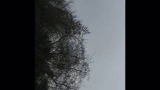 Jacob palmer bmx progress edit