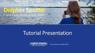 Dolphin Spotter Registration Video