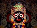 Hare Govinda #mukunda #jaishrikrishna #divine #jaijaivitthal #jai #hariom #bhagavadgita #bhaktivibes