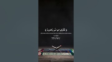 تلاوه تلامس القلب لفضيلة الشيخ #احمد_النفيس #quran #سورة_الشعراء 💙.
