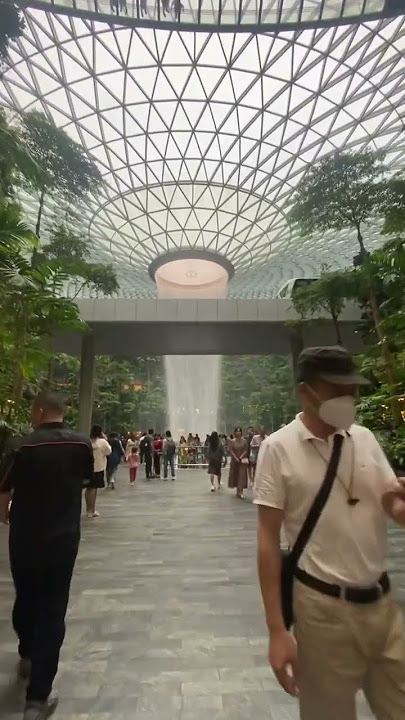 Story WA Singapura | Changi airport | Status WA 30 detik