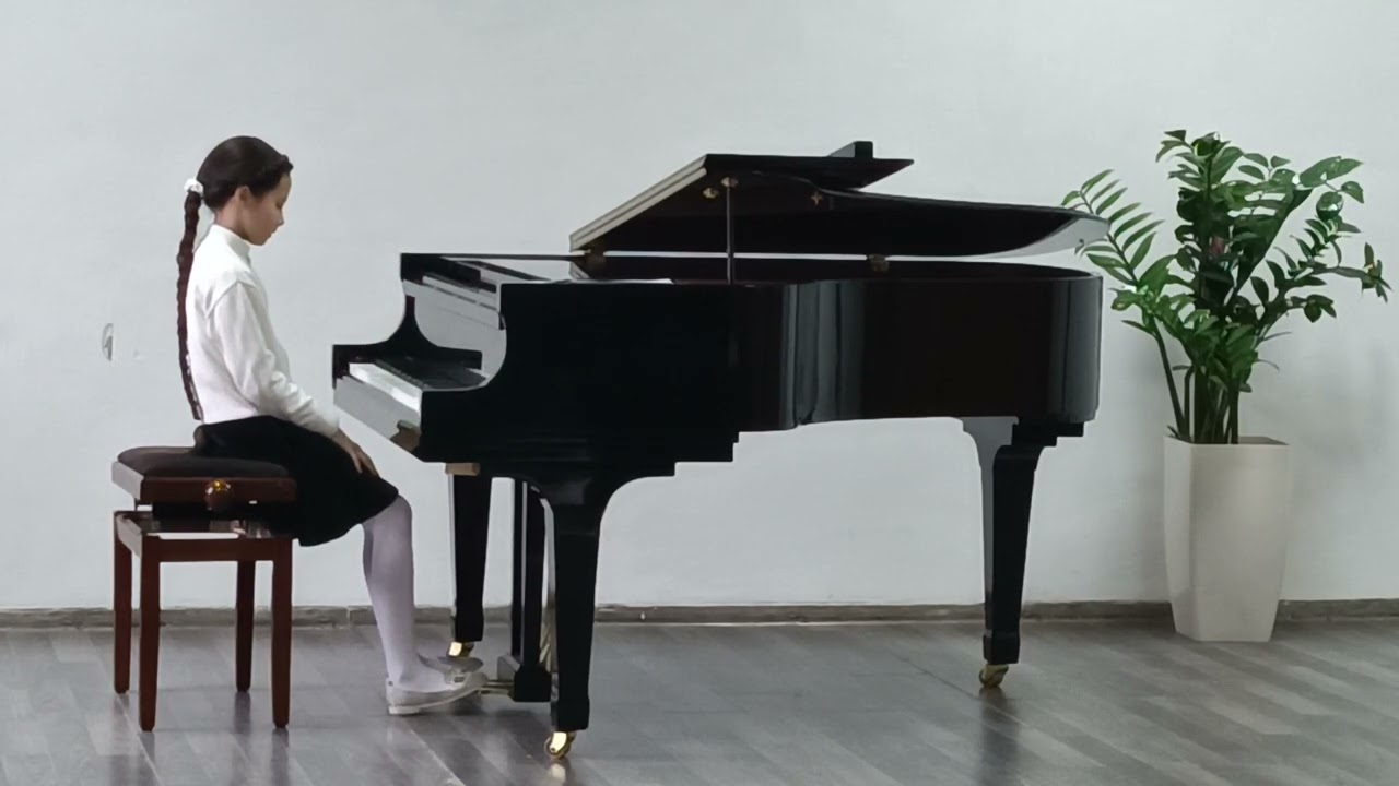 ANASTASIA BRAGA - V.A.Mozart 