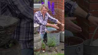 Transform any space into a cottage garden with just containers #diy #gardening