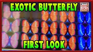 First Look on Exotic Butterfly With Big Win @ Max Bet By Slot Lover screenshot 4