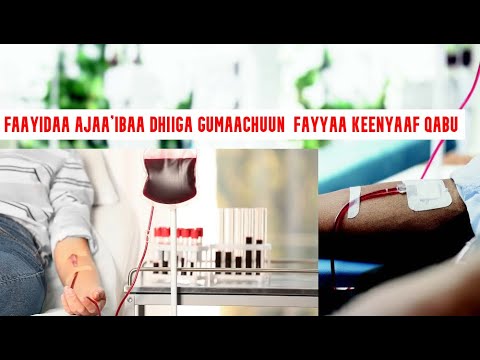 FAAYIDAALEE DHIIGA GUMAACHUU