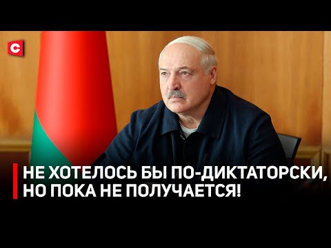Жёсткие поручения Лукашенко по картошке! | Цены в магазинах | Президент проинспектировал аграриев