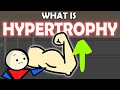 Muscle hypertrophy explained in 5 minutes