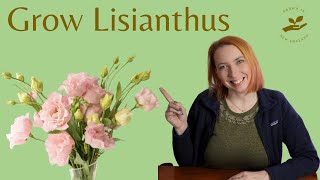 Growing Lisianthus from seed: All you need to know