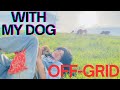 Solo Camping with Dog #9 Eating Instant Noodles & Sleeping by the Creek All Night