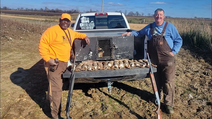 Rabbit Hunting in Very High Winds