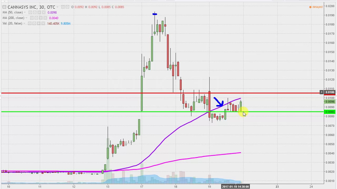 Mjtk Stock Chart