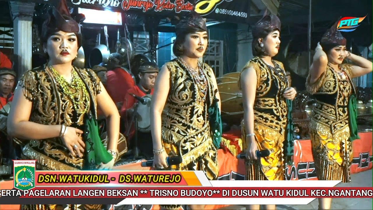BERSIH DUSUN WATU KIDUL - NGANTANG VOL.2