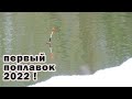 Поплавок 2022! Что ловится на речке в феврале на ОТКРЫТОЙ ВОДЕ?