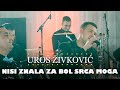 Uros zivkovic  nisi znala za bol srca moga orkestar gorana todorovica