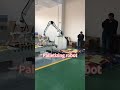 Automatic Palletizing Robot | Smart End-of-Line Packaging Solution