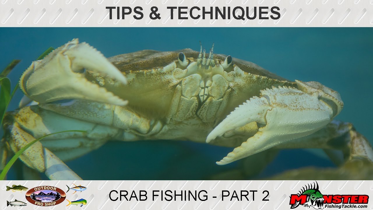 How to Rig a Crab Trap Crab Fishing Part 2 YouTube