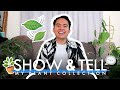 MY PLANT COLLECTION 🪴🍃 (Show & Tell) | King Feliciano