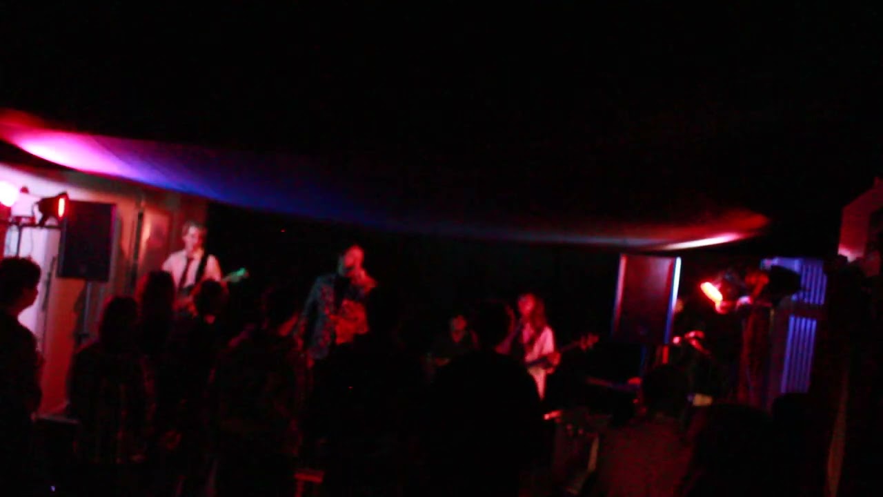 Swell at The Lounge Bar, Alton: 7th Feb '25