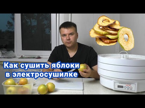 Как сушить яблоки в электросушилке