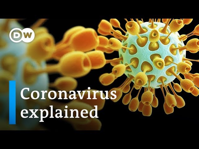 Coronavirus explained: Where it came from and how to stop it | DW News Coronavirus explained: Where it came from and how to stop it | DW News