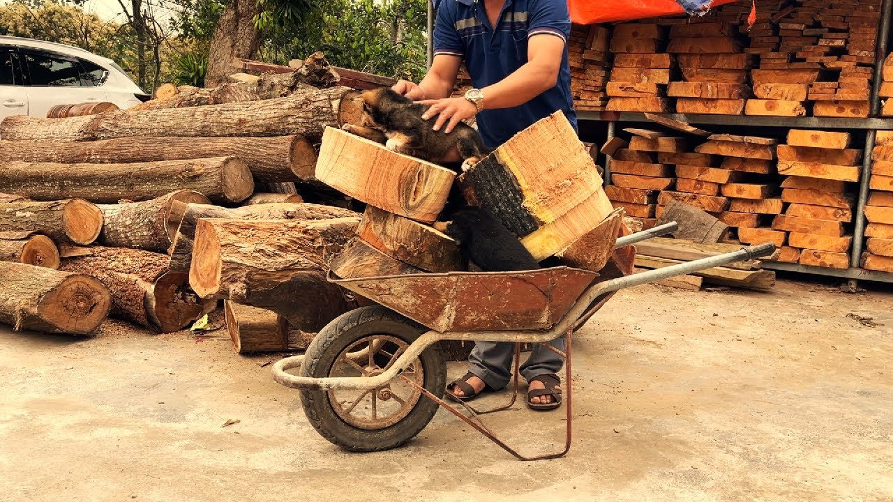 Woodworking Technology From Simple To Complex - A Pretty And Artistic Vase
