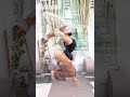 Advance yoga practice #yoga #motivation #yogaskills #sports #yogikuljeet