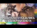 Енотыш: как выглядит новорождённый енот и каким он стал через год