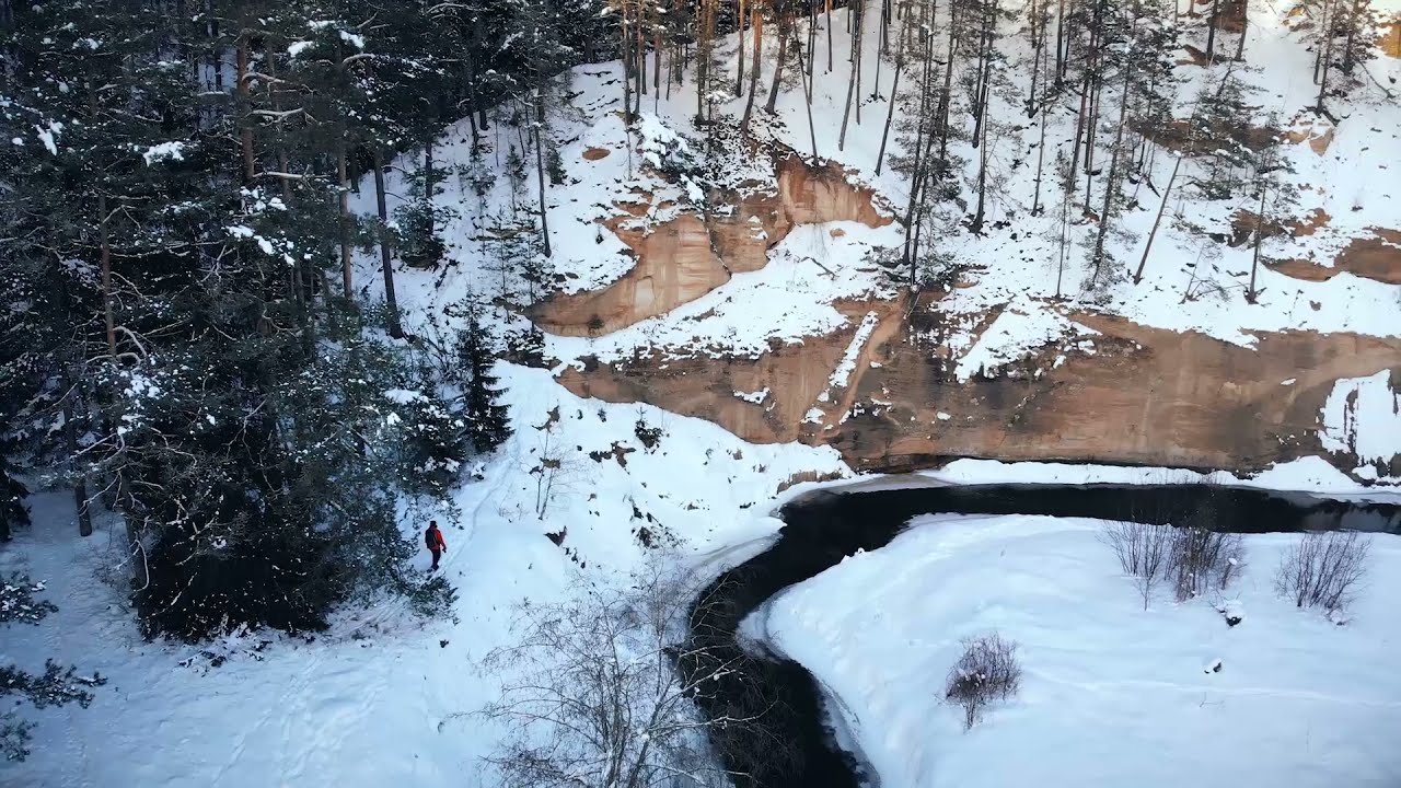 Metsa matkarada, matkamine