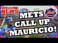 REPORT: Mets FINALLY Will Call Up Ronny Mauricio! | Mets News | Mets Rumors image