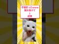 猫拾った!誰か助けて→結果 #5ch