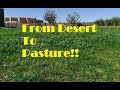 Turning Desert Land Into Pasture