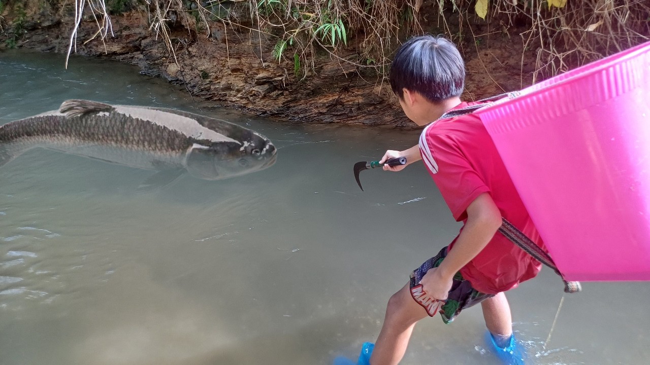 A homeless boy found a catch in the stream and caught many big fish ...