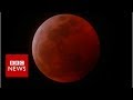 Why does a ‘super blood wolf moon’ lunar eclipse have such a complicated name?  - BBC News