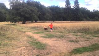 130907 10 Tekels Park 2