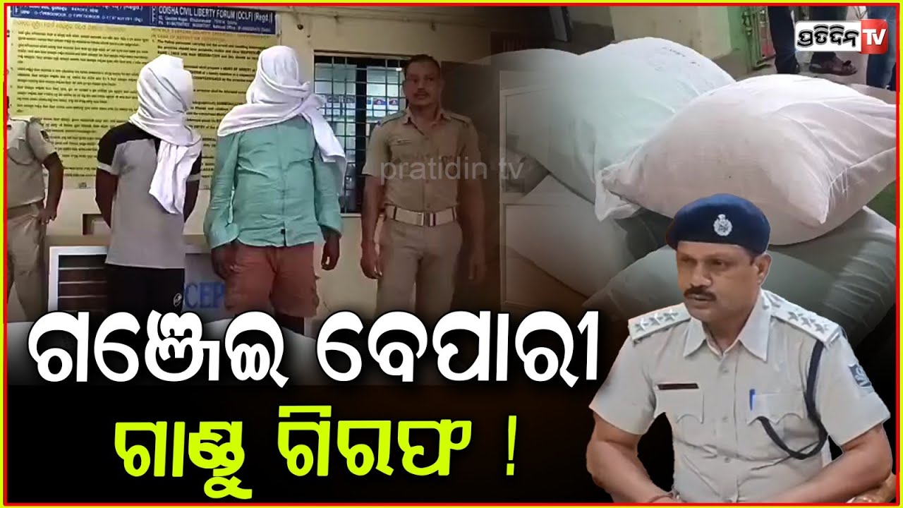 ଗଞ୍ଜେଇ ବେପାରୀ ଗାଣ୍ଡୁ ସହ ୧ କୁଇଣ୍ଟାଲ ଜବତ୍ ! 1 quintal Ganja seized by Banki police under NDPS.