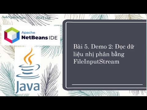 Video Bài 5.D2: Đọc dữ liệu nhị phân bằng FileInputStream... - youtube