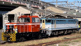 【EF65-2127 OM廃車回送翌日の構内入換作業】国鉄HTM270形OM-2号機牽引でEF65形2000番台2127号機（広島更新色・カラシ）がOM構内3番建屋出発（2023.11.8.9:28）