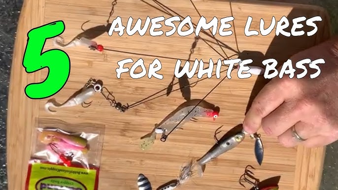 BEST Baits for White Bass! Sand Bass Run! Which Lure to Use for White Bass?  Lures for Creek Fishing 