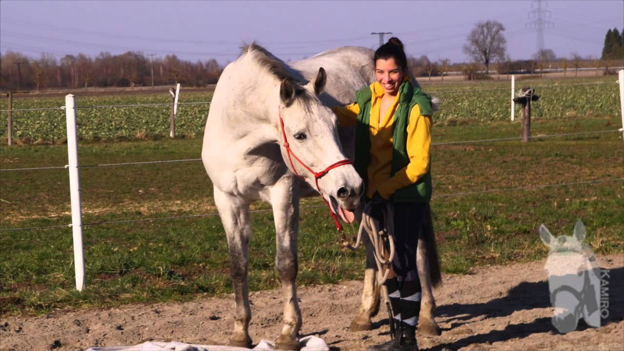 Schrecktraining mit Kamiro