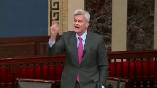 Cassidy blasts Senate Democrats on the Senate floor for stonewalling coronavirus relief bill