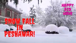 Snowfall in Peshawar/soft balls/Bombax tree screenshot 1