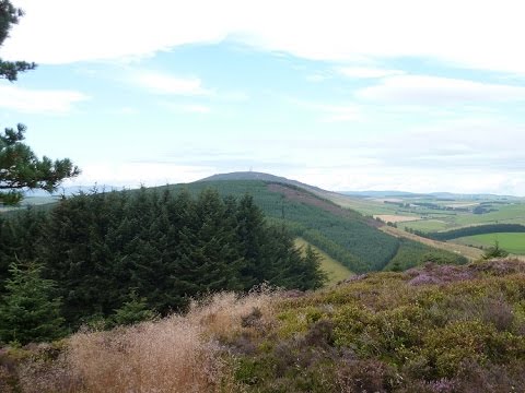 Hill of Tillymorgan walk, Aberdeenshire, Scotland, UK