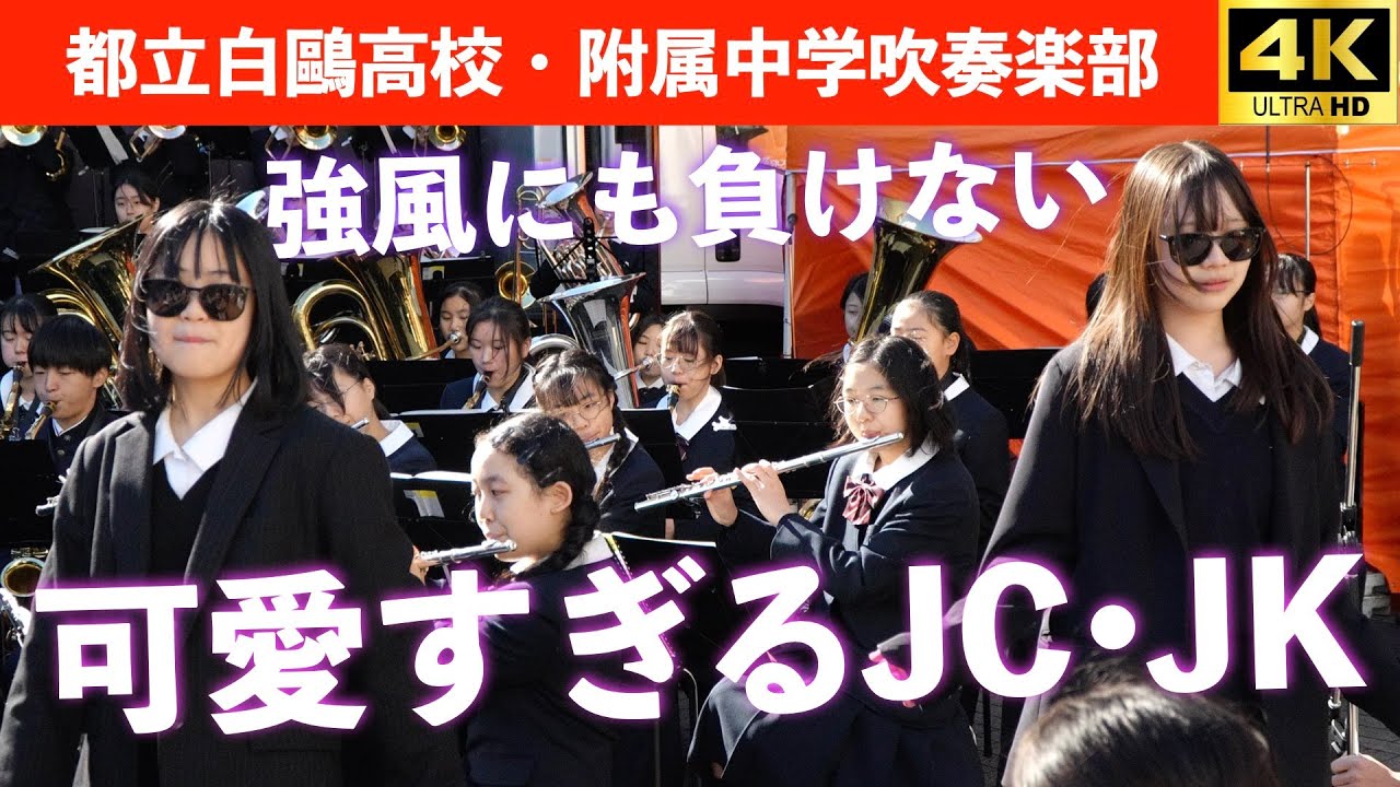 白鷗高校・附属中学校吹奏楽部 in おかちまちパンダ広場シタマチ文化祭（2024.11.23）
