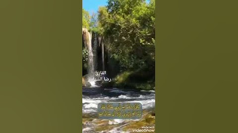 القارئ الشيخ رضا الشهاوي ابن بلطيم