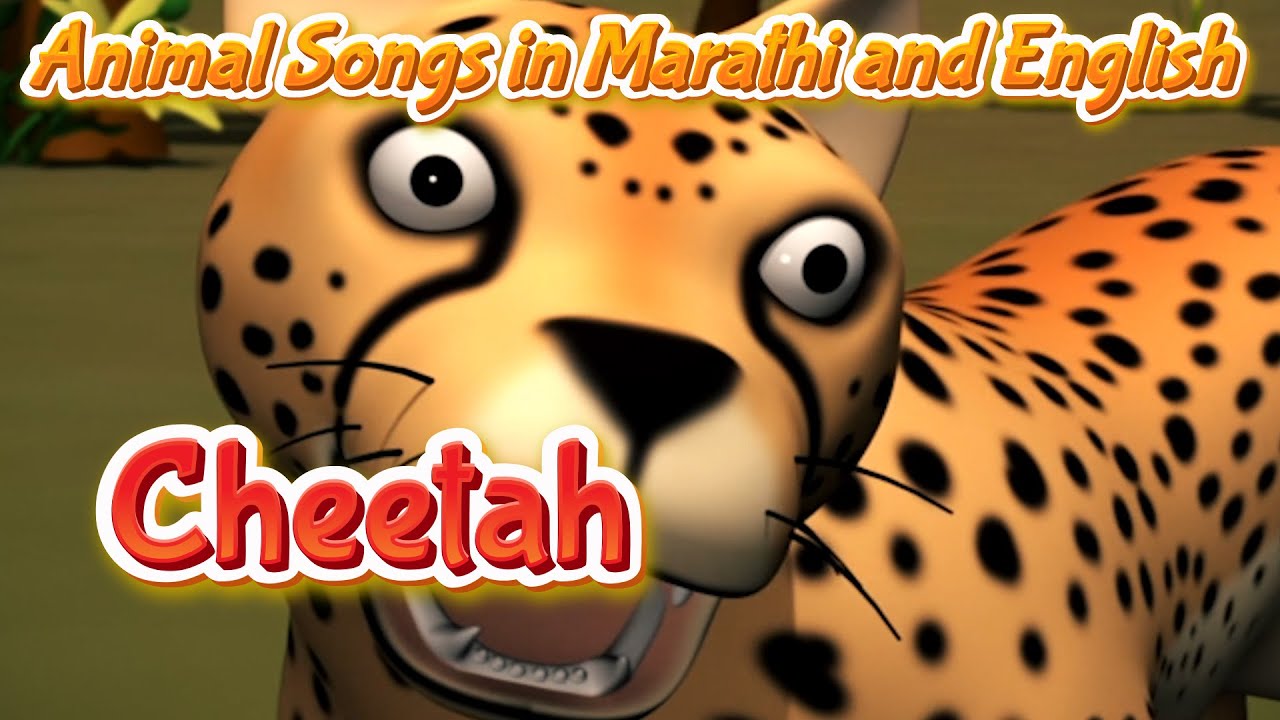 Cheetah Song in Marathi and English Animal Rhymes Animal Songs