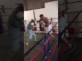 Cowboys michael mcdonagh sparring