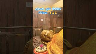 Kushinara nuwara paranibbana statue #vairalvideo #travel #lifeisbutadream #subscribe #kúđêmgamer #in