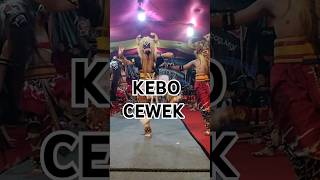 kebo giro warok putra mandala semampiran grabag